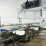 HACCP certified plant