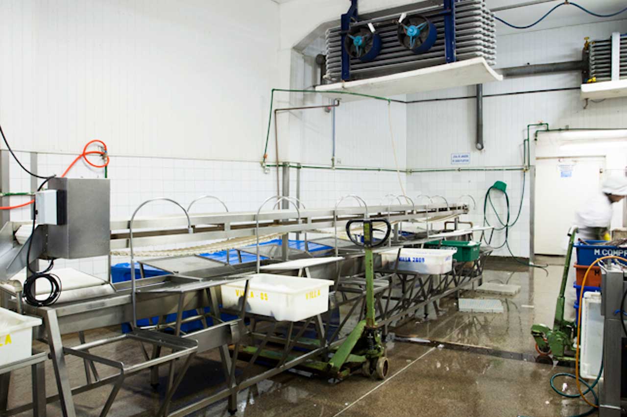 HACCP certified plant