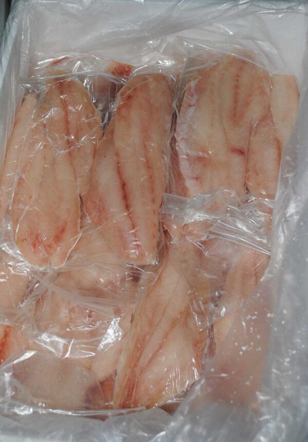 Frozen Red grouper fillet from Brazil