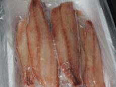 Frozen Queen Snapper fillet from Brazil