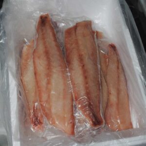 Frozen Queen Snapper fillet from Brazil
