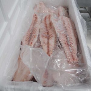 Frozen Golden Corvina Fillet from Brazil