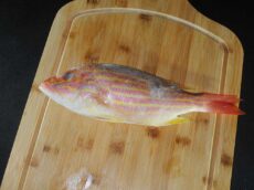 Frozen Lane Snapper From Brazil