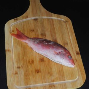Frozen Red Snapper from Brazil