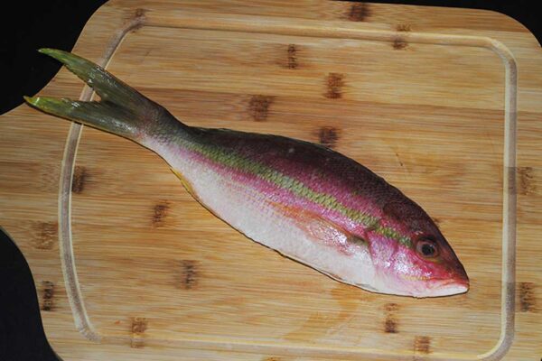 Frozen Atlantic Yellowtail Snapper from Brazil