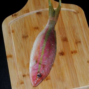 Frozen Yellowtail Snapper from Brazil