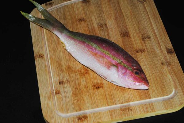 Frozen Yellowtail Snapper from Brazil